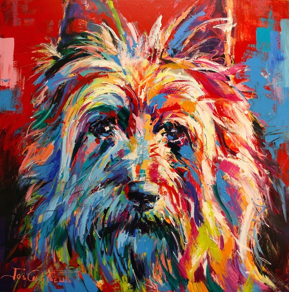 Australian Silky Terrier
